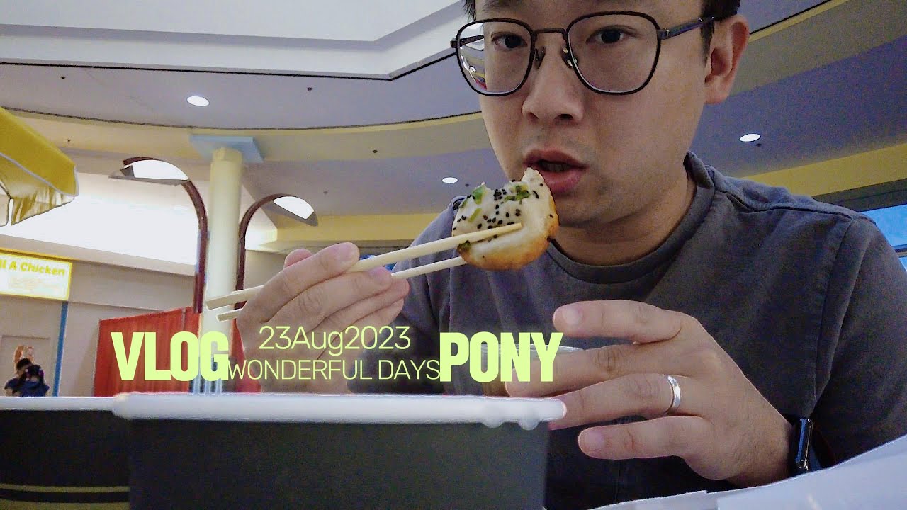 Vlog 14 好多家餐厅开业啊
