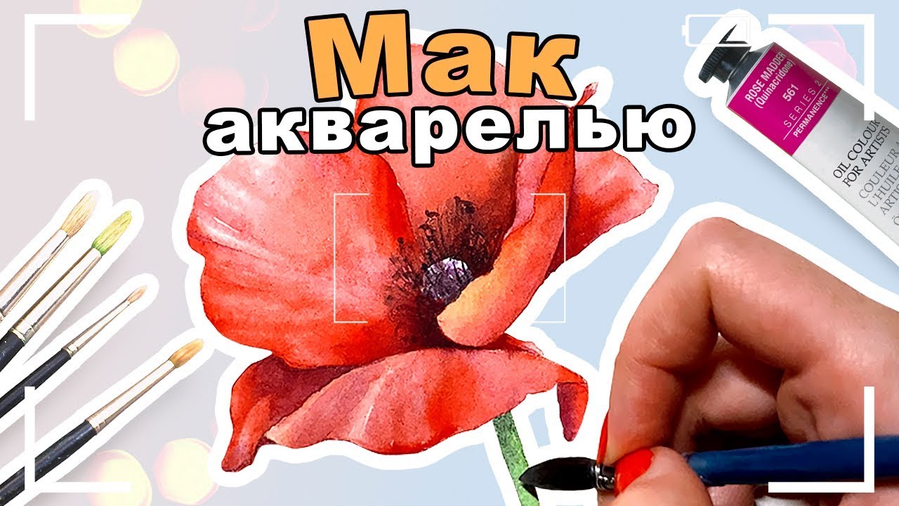 WATERCOLOR SPEEDPAINT | Акварельный мак | Спидпейнт