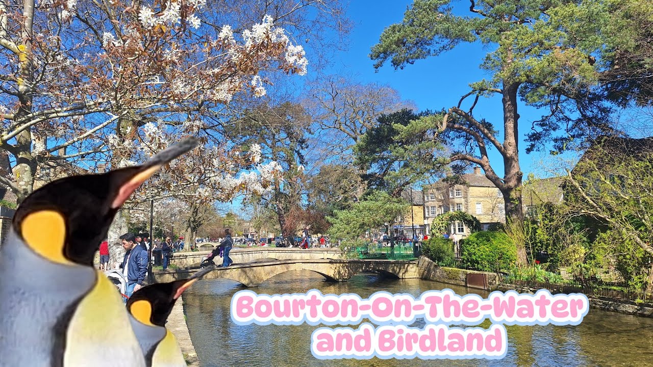 Cotswolds Bourton-On-the -Water and Birdland. Walk around in spring.