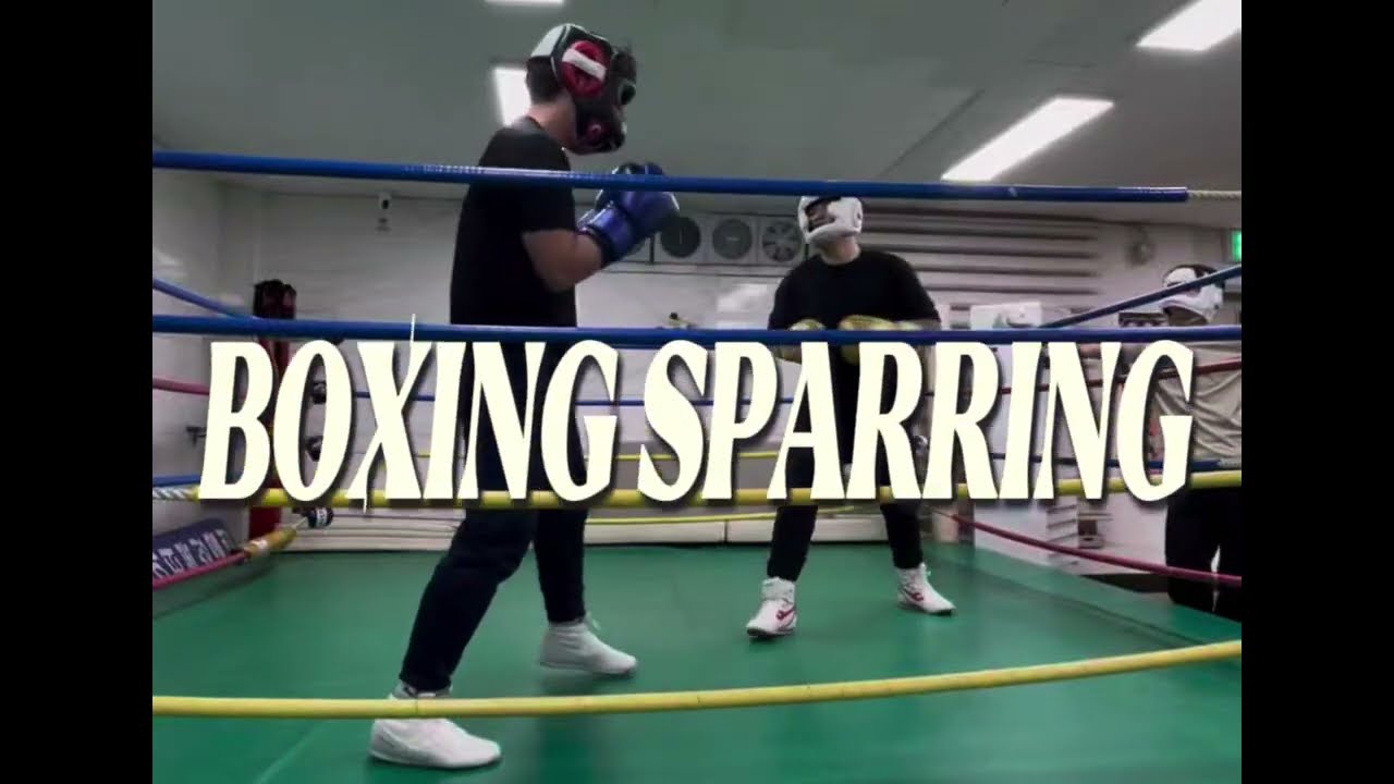 Boxing sparring in Korea