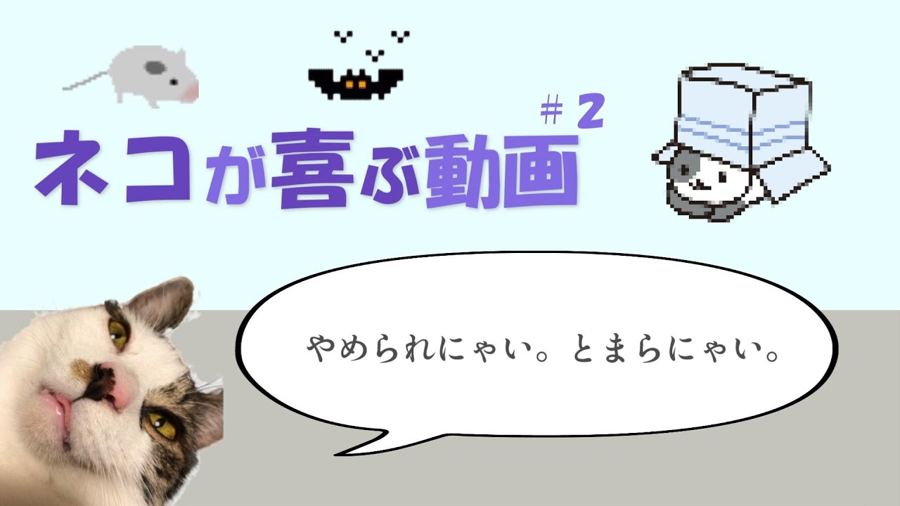 【ネコが喜ぶ映像】30分 ねずみ、こうもり 猫が遊ぶ、興奮する動画 ２本目