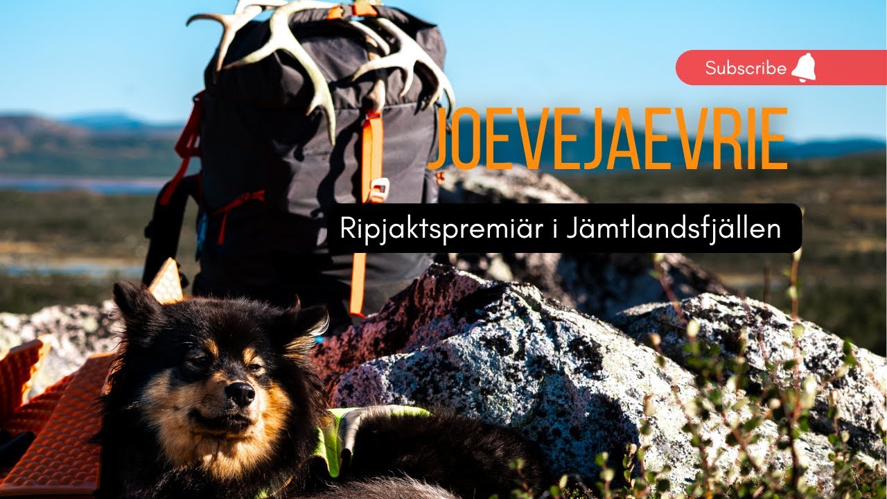 Ripjakt i Joevejaevrie