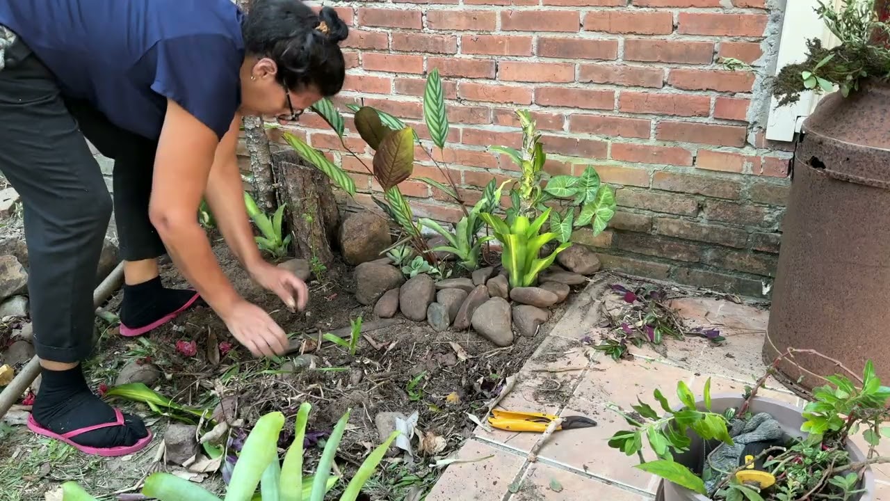 Troncos de árvores ideia para um jardim rústico e criativo