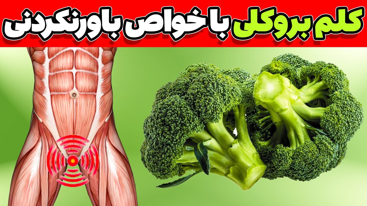 خواص و فواید  مهم  کلم بروکلی | کلم بروکلی