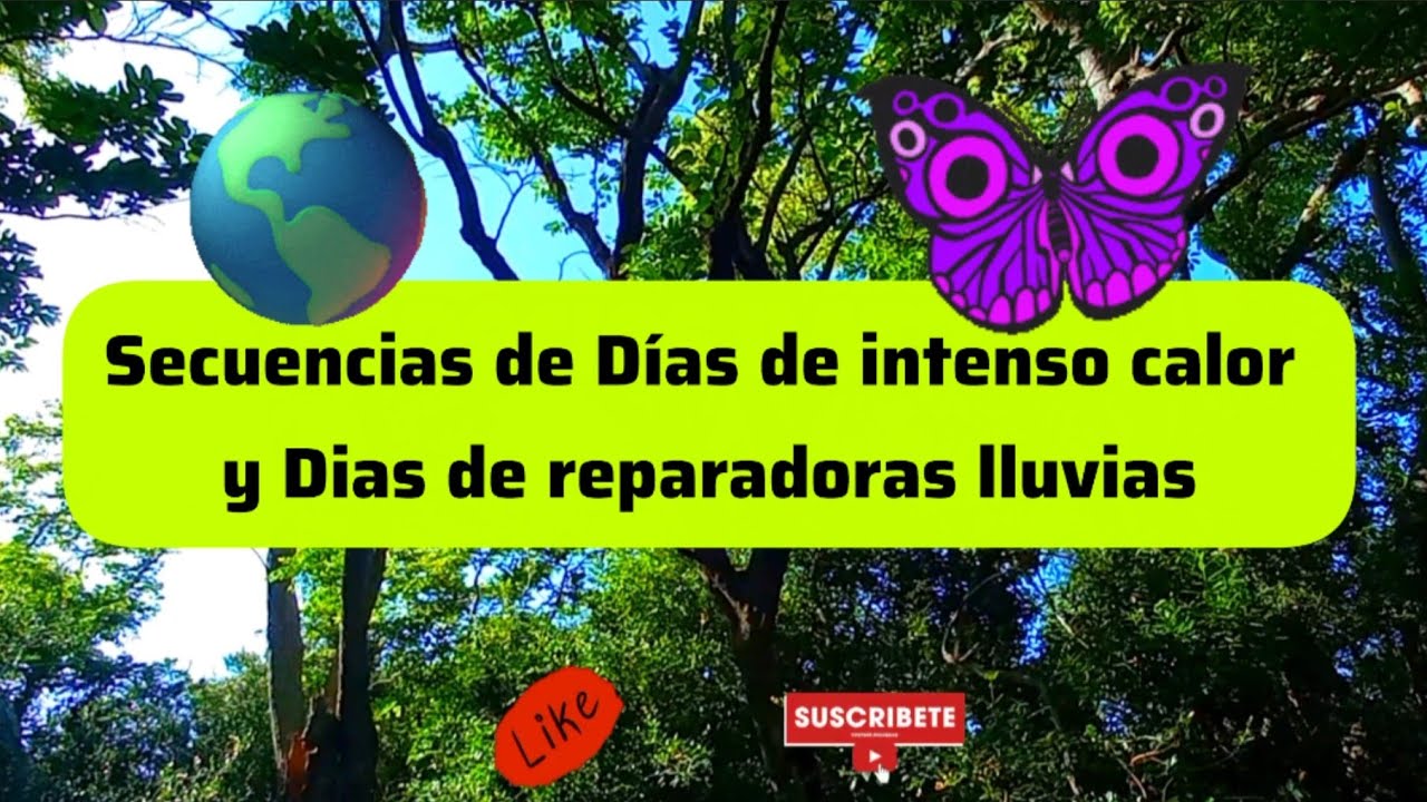 Días de calor extremo y luego lluvias #calor #lluvias #animales #secuencias