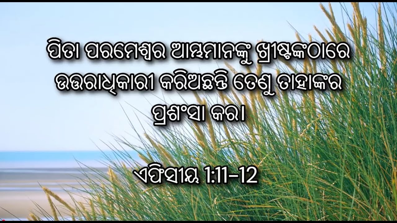 ଏଫିସୀୟ 1:11-12  ପିତା ପରମେଶ୍ୱର ଆମ୍ଭମାନଙ୍କୁ ଖ୍ରୀଷ୍ଟଙ୍କଠାରେ ଉତ୍ତରାଧିକାରୀ କରିଅଛନ୍ତି।