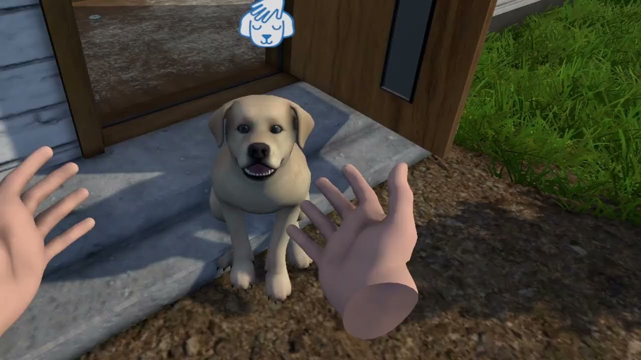 House Flipper Pets VR (Steam) gameplay on Oculus (Meta) Quest.