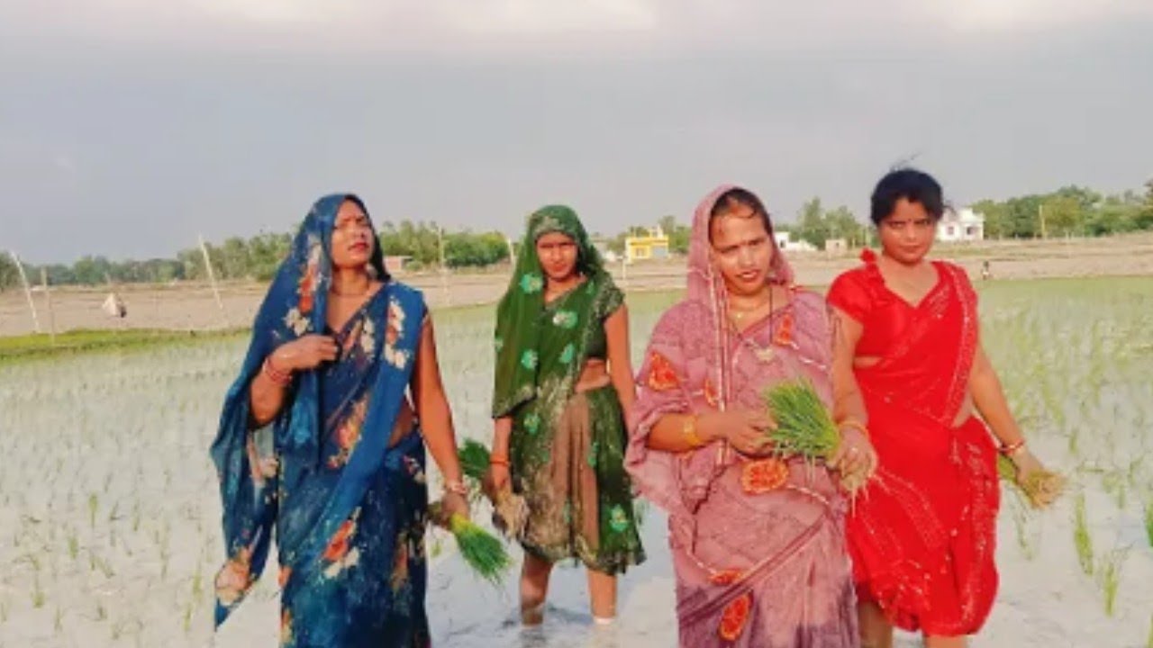 धान लगाते समय का गीत 👌🙏अपना तो गए पिया पूर्वी बनीजवा👌🙏👌