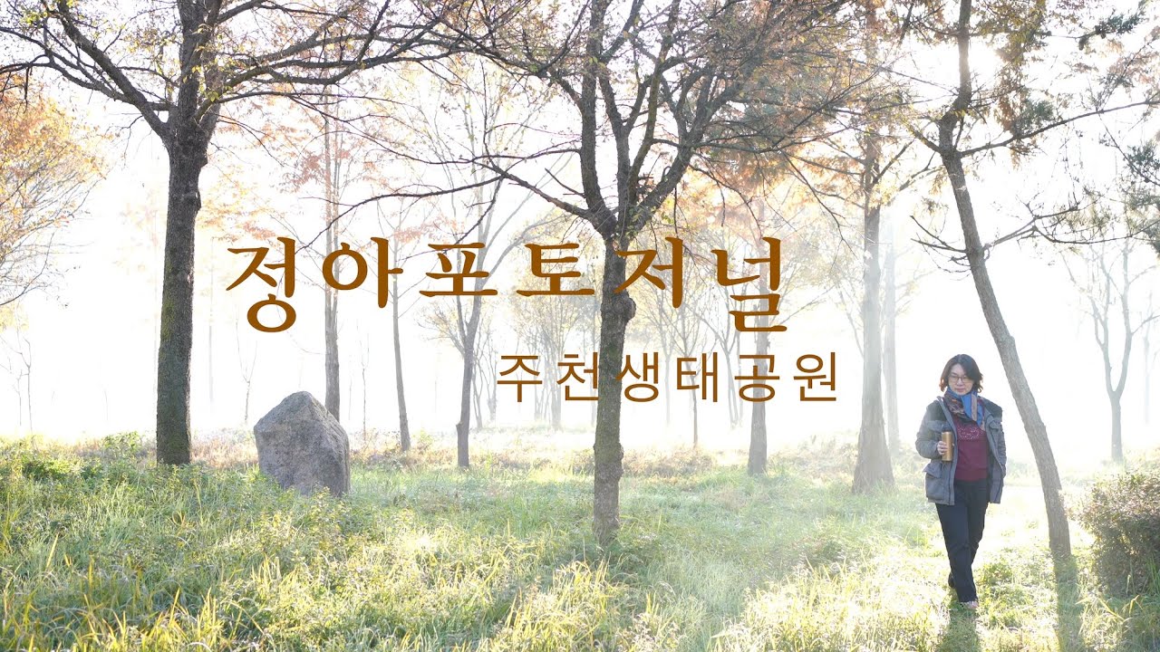 안개빛 풍경 속 가을  / 주천생태공원