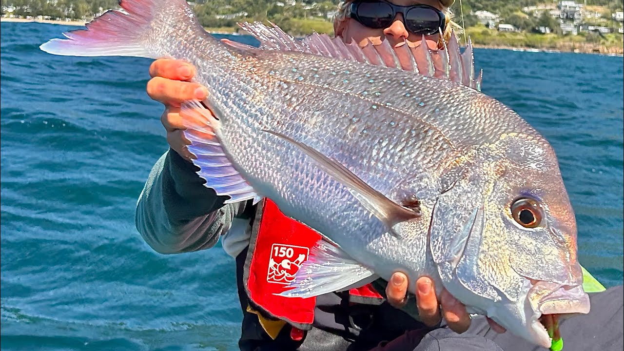 Raw pov snapper fishing into a arvo surf 