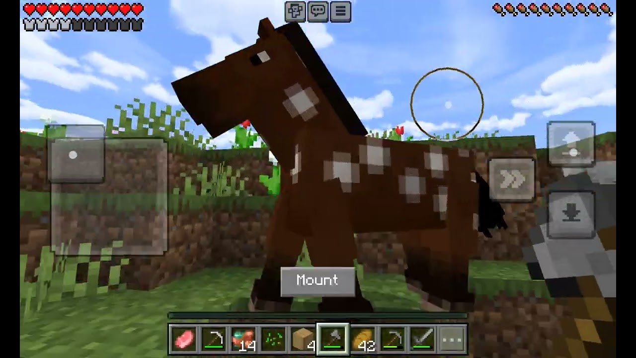 Two special suprises and iron armor. By trading tgt#famous#minecraft