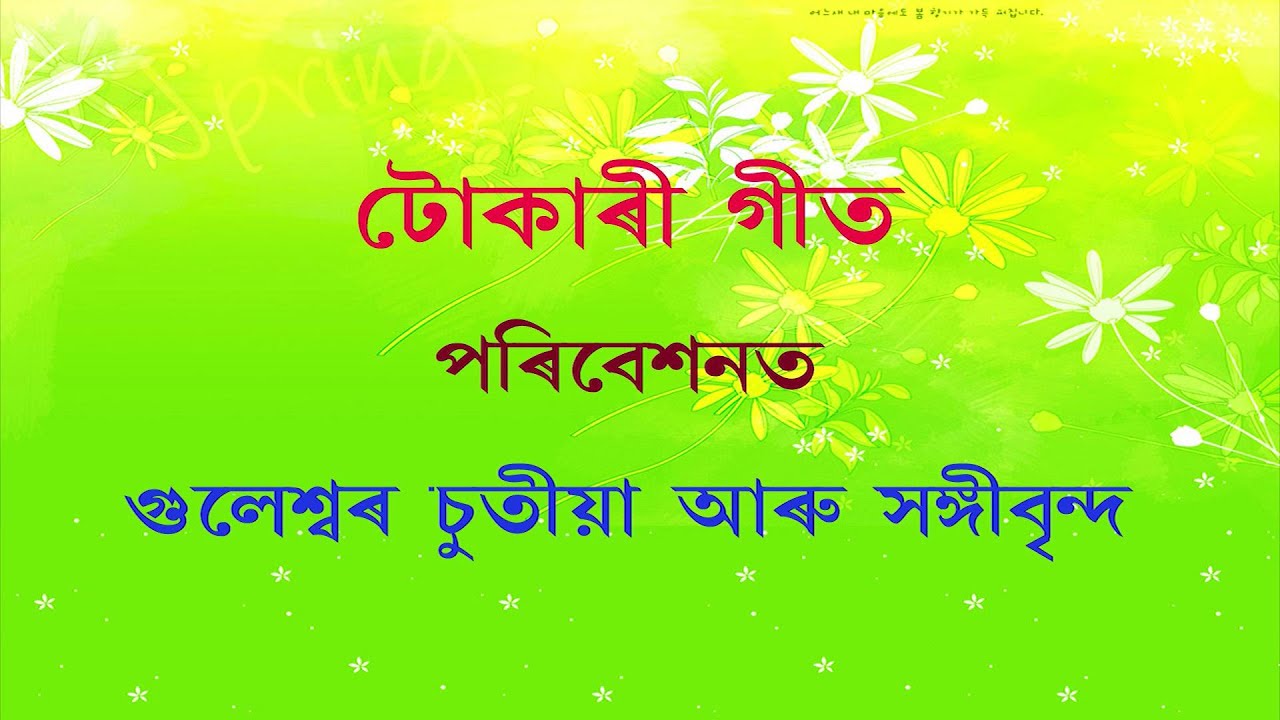 Tokari Geet By Guleswar Chutia  // DDK DIBRUGARH PRESENTS
