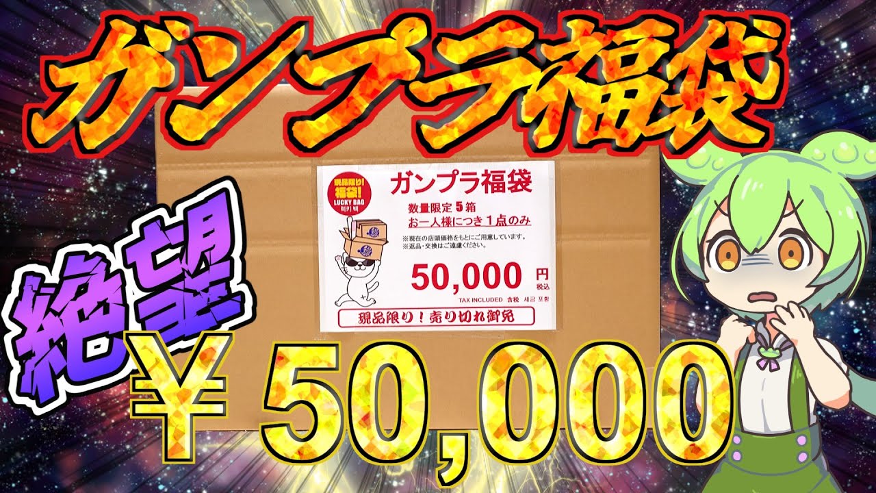 【ガンプラ福袋】約束された敗北！超高額5万円のガンプラ福袋は果たしてお得なのか？！バカスカTV、駿河屋の福袋に初挑戦！！