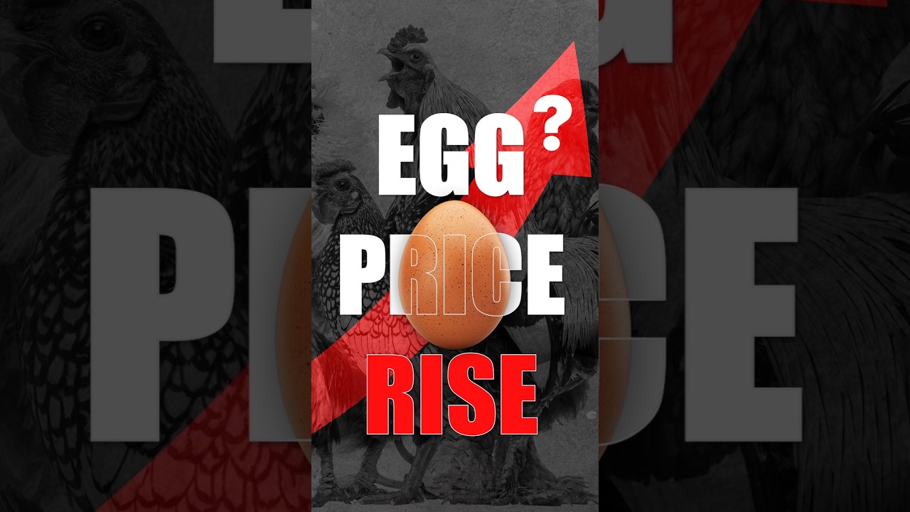 Mehnga Hua Anda 🥚