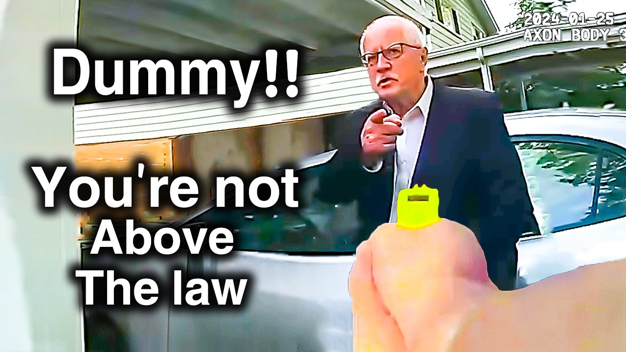 When Good Cops Humiliate Entitled Government Officials