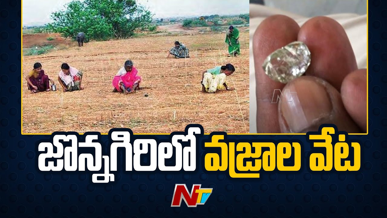 Diamond Found In Jonnagiri | Diamond Hunt In Kurnool District | NTV