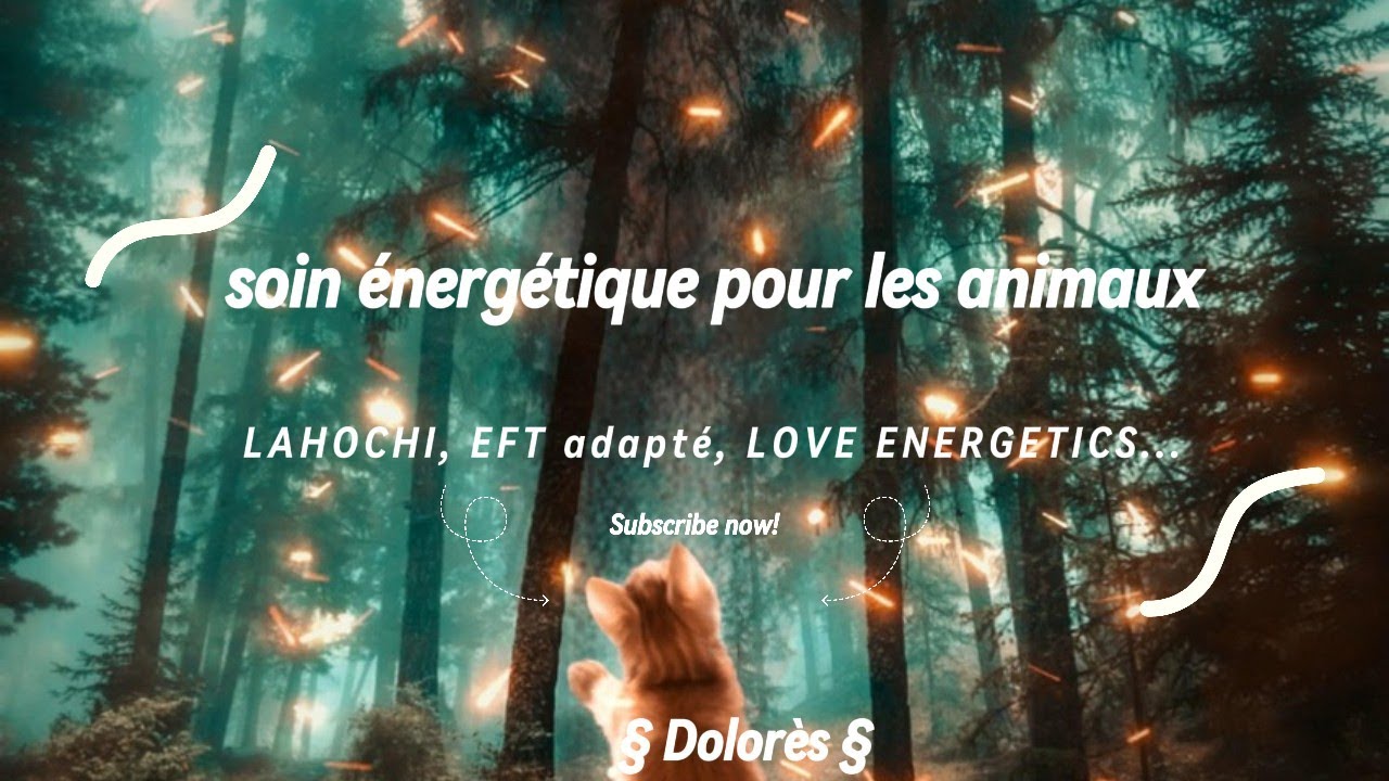 Soin énergétique | Pour les animaux 🐾Détails explicatives LAHOCHI, EFT ADAPTÉ, LOVE ENERGETICS...