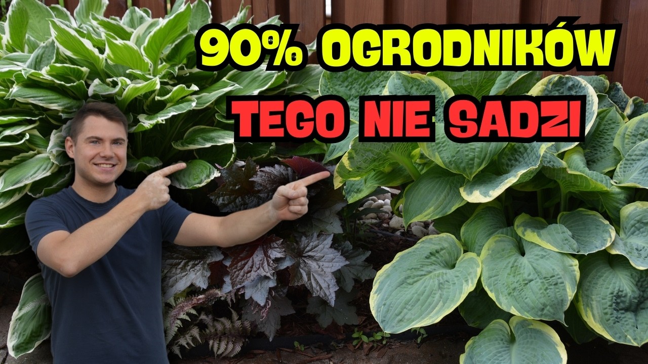 10 najlepszych bylin do cienia 🌿 Rośliny, które rozjaśnią zacieniony ogród