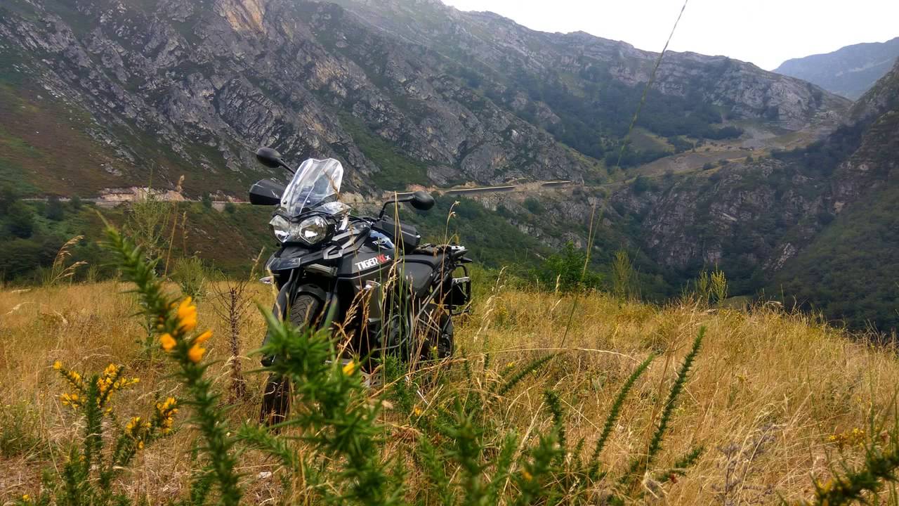 TIGER 800 XCX LOW 2016