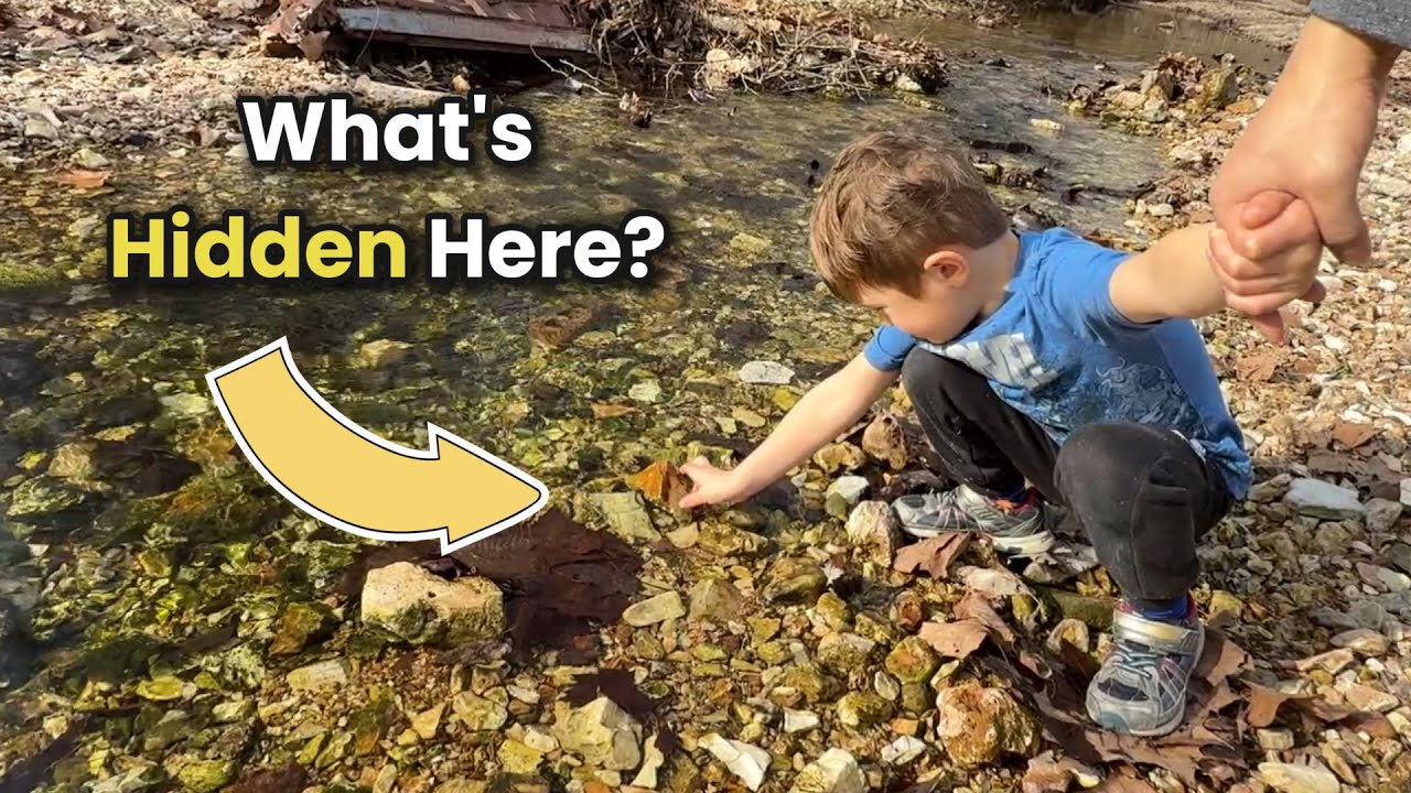 Let’s Find Critters! 🦴 What We Didn’t Expect to Find in the Winter Woods