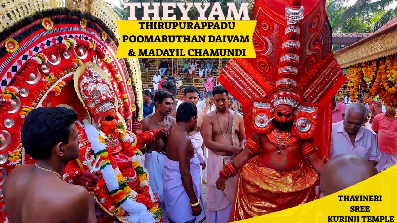 Thirupurappadu of Poomaruthan Daivam and Madayil Chamundi @thayineri Sree Kurinji Temple