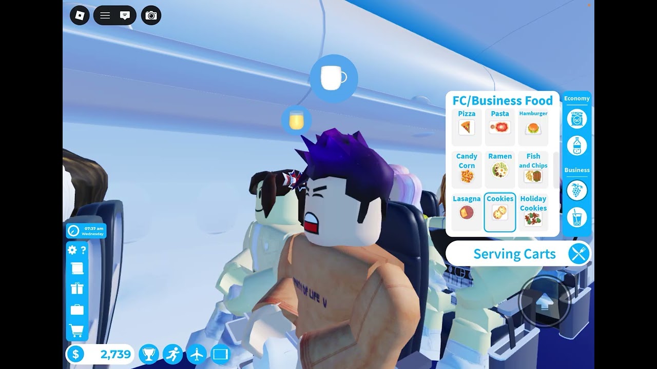 Cabin crew roblox 