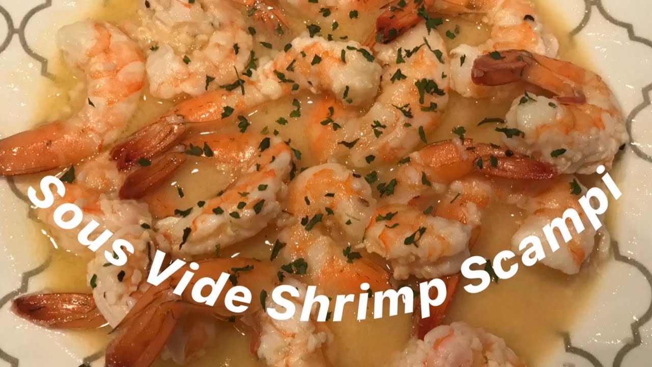 Sous vide shrimp scampi