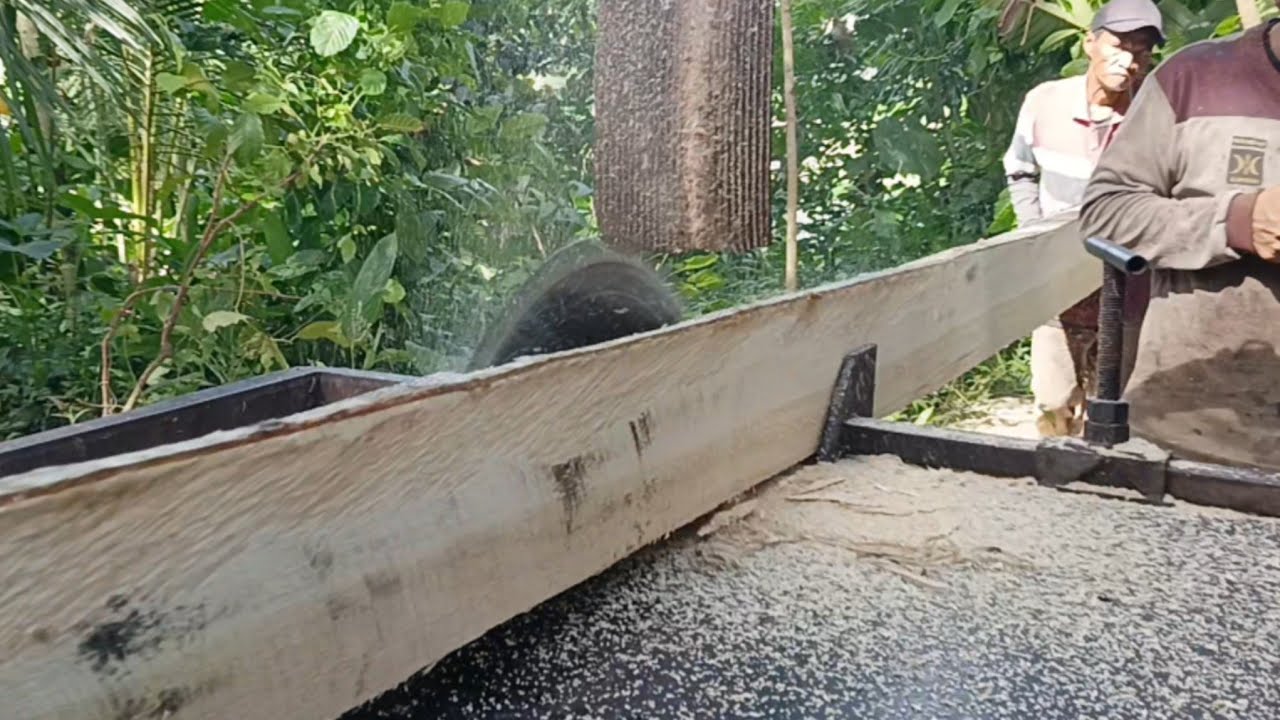 Indahnya Menggergaji Kayu Sengon Bakalan Kasao 