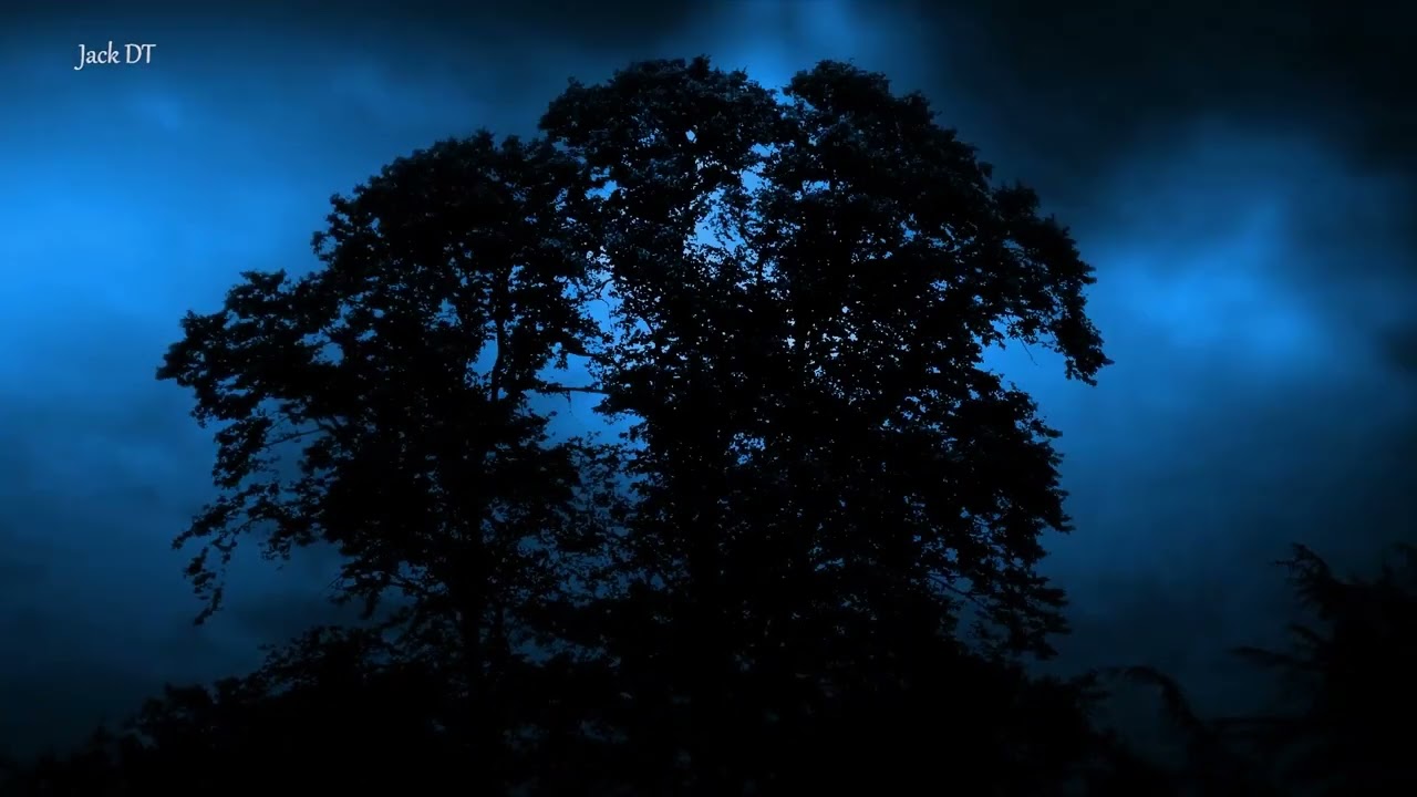 SILN&Aacute; B&Uacute;RKA , PADANIE DAŽĎA A BLESKY