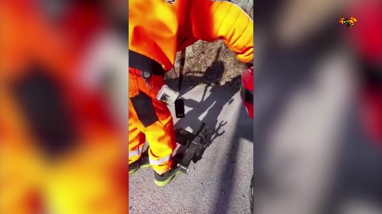 Här är Sveriges yngste bärgare