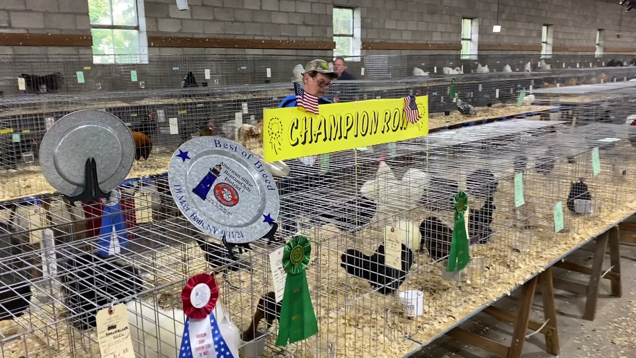 2021 Twin Tier poultry show championship row