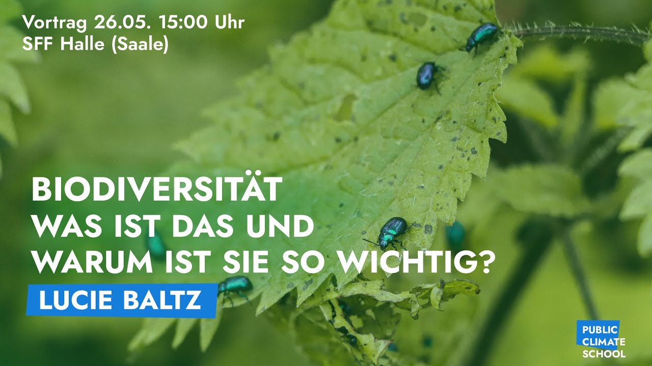 Lucie Baltz – Biodiversität: Was ist das und warum ist sie so wichtig? #PCS20