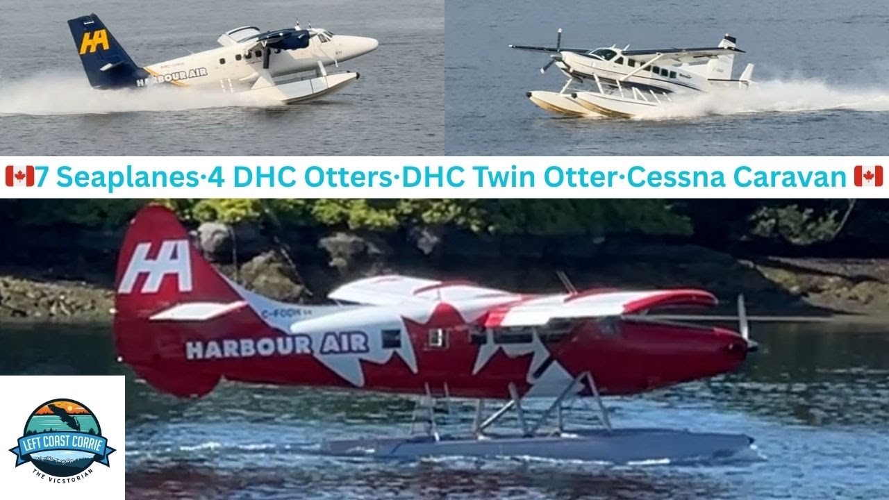 The Oldest Otter Still Flying Takes Off First!