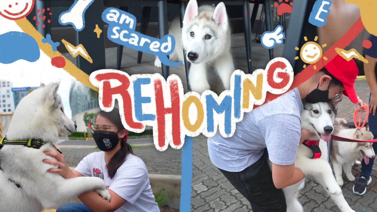 NAKAALIS NA SILA... (REHOMING NG BIIKS)