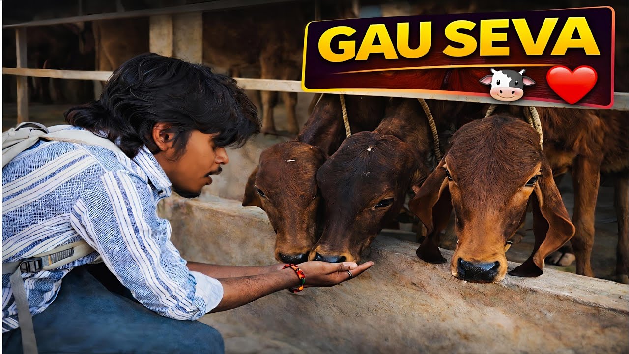 Gau Mata Ko Khilane Gaya Aur Phir Ye Ho Gaya 😳 | Gaushala Vlog