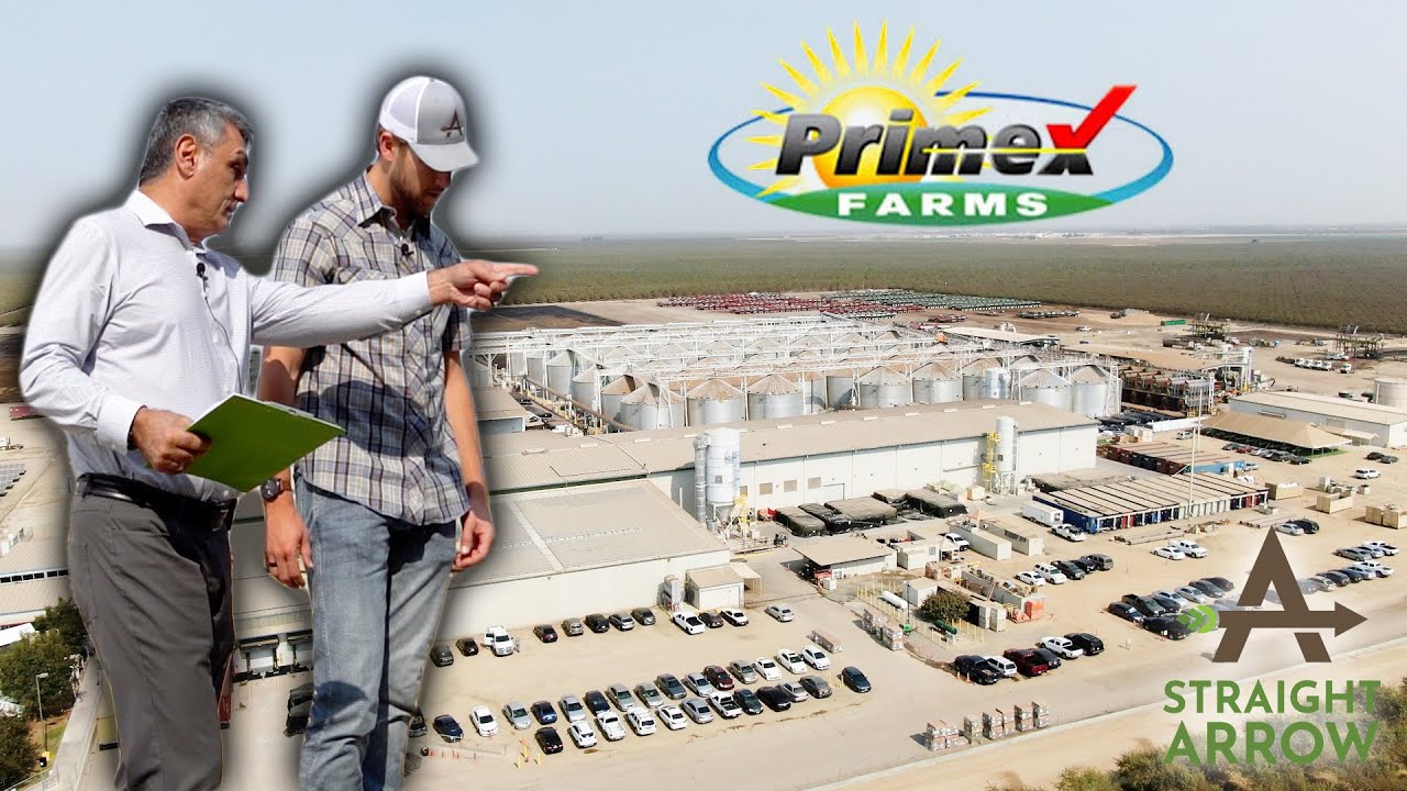 We Visited A State of the Art Pistachios Processing Plant! Primex Farms!