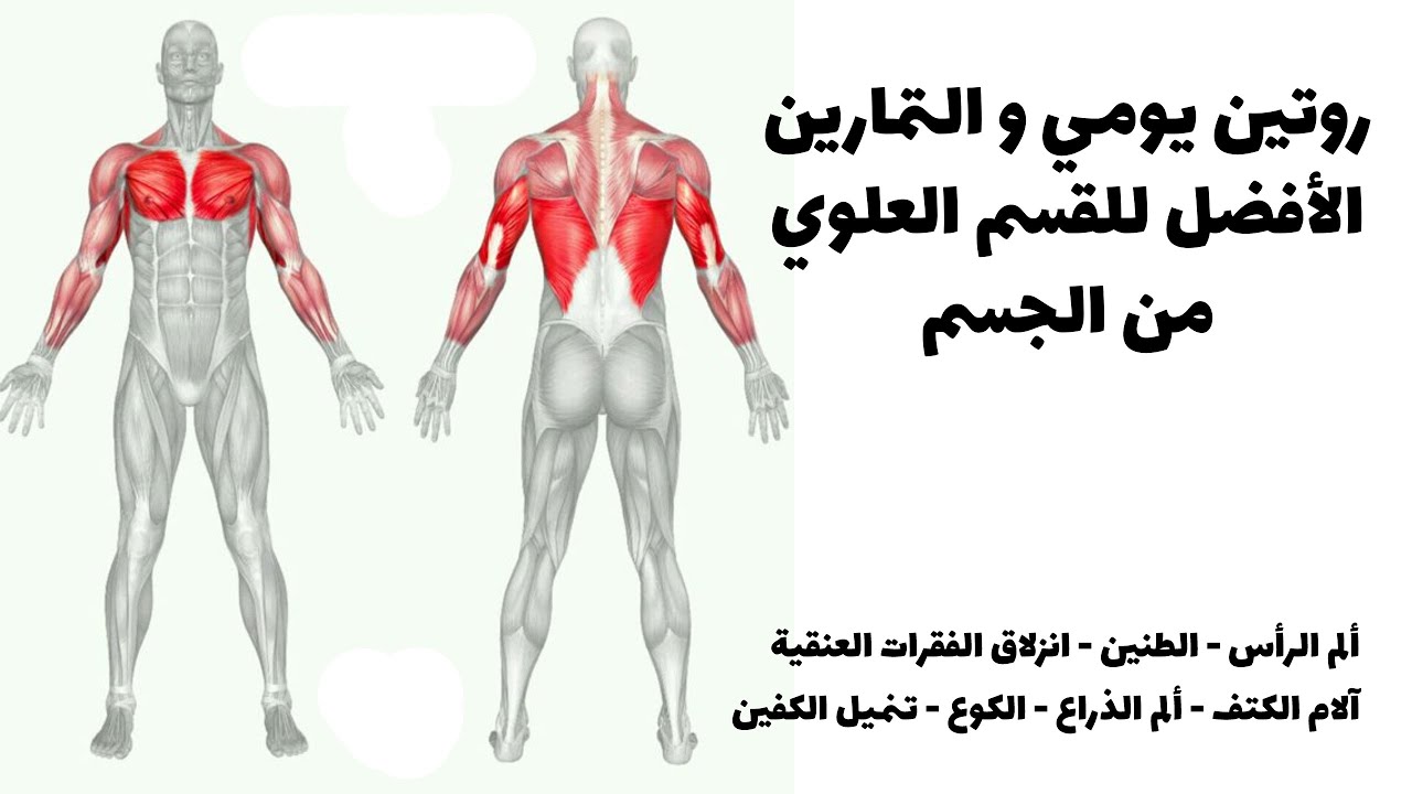 القضاء نهائيا على آلام القسم العلوي من الجسم - ألم رأس, رقبة, أكتاف, كوع, صدر و حتى تنميل الذراع