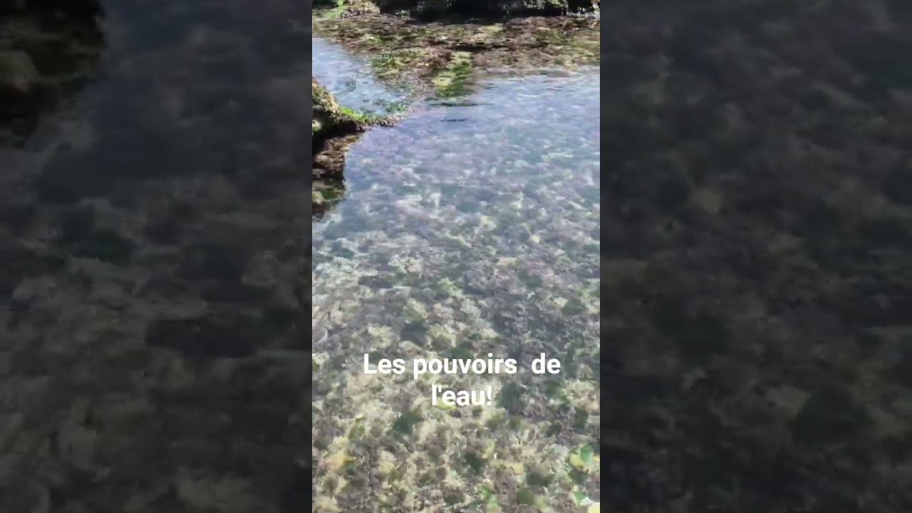 Les pouvoirs de l'eau