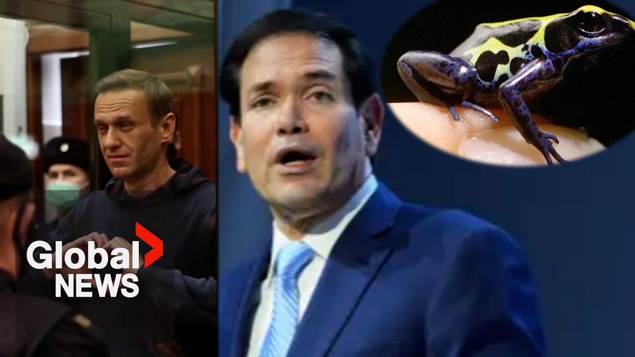 Report Navalny was poisoned with frog toxin “very serious,” Rubio says