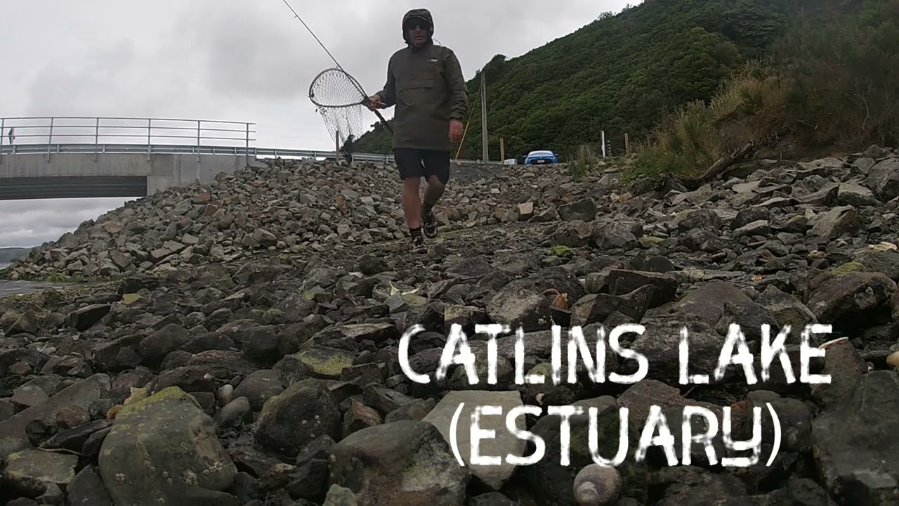 A small sea run trout in The Catlins