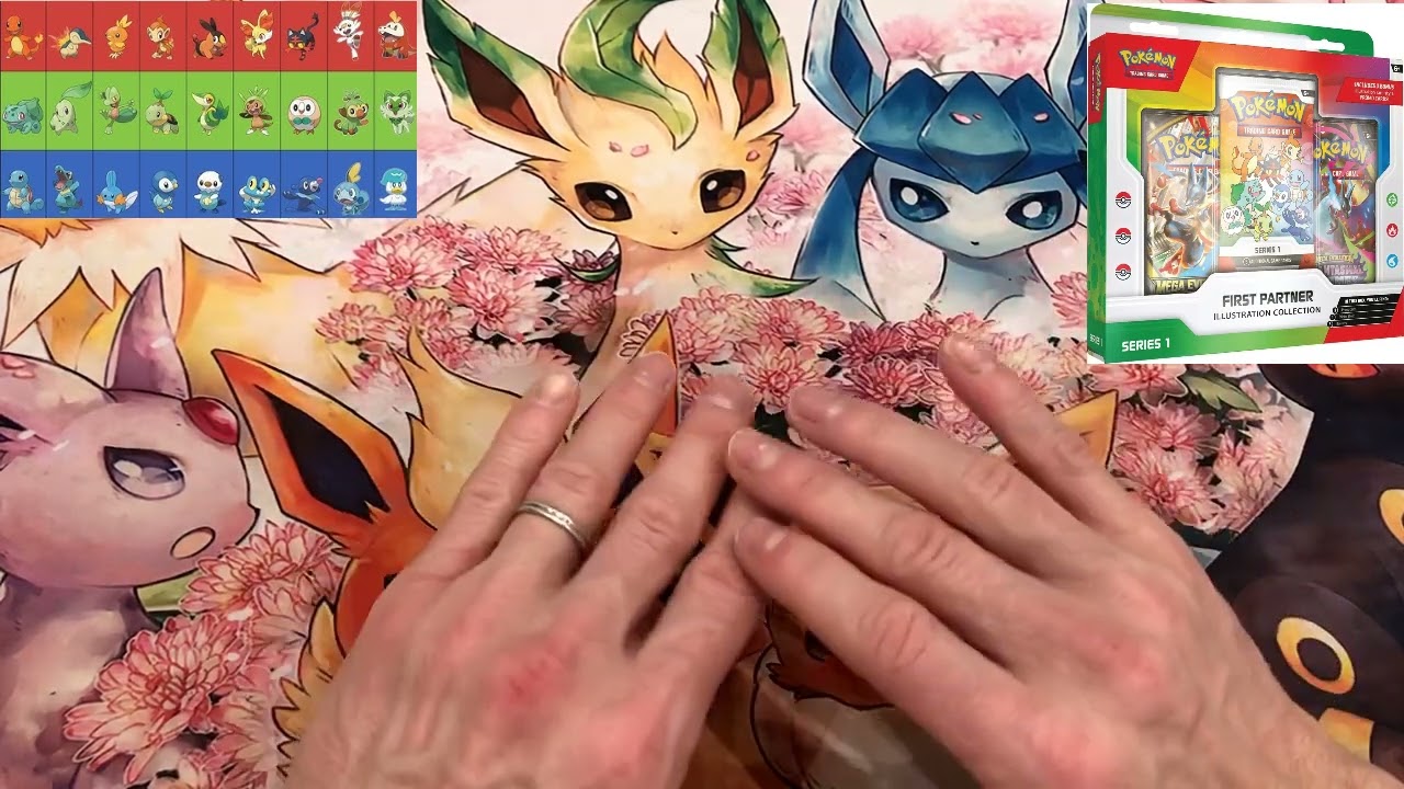 ca peut etre la folie sur ce coffret Pokemon First Partner specialement le series 1