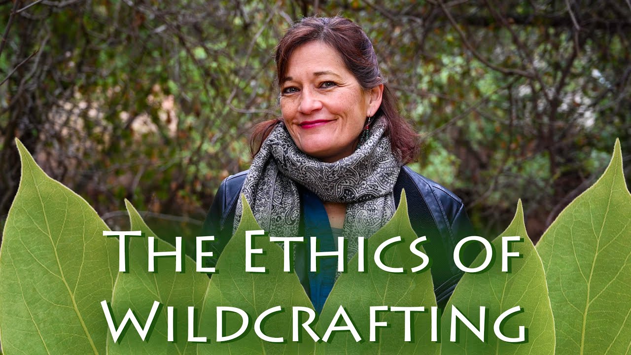 The Ethics of Wildcrafting