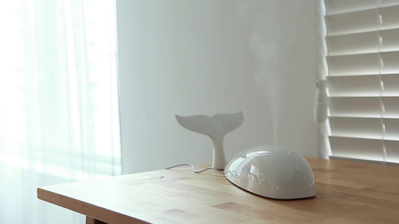 Whale aroma diffuser function