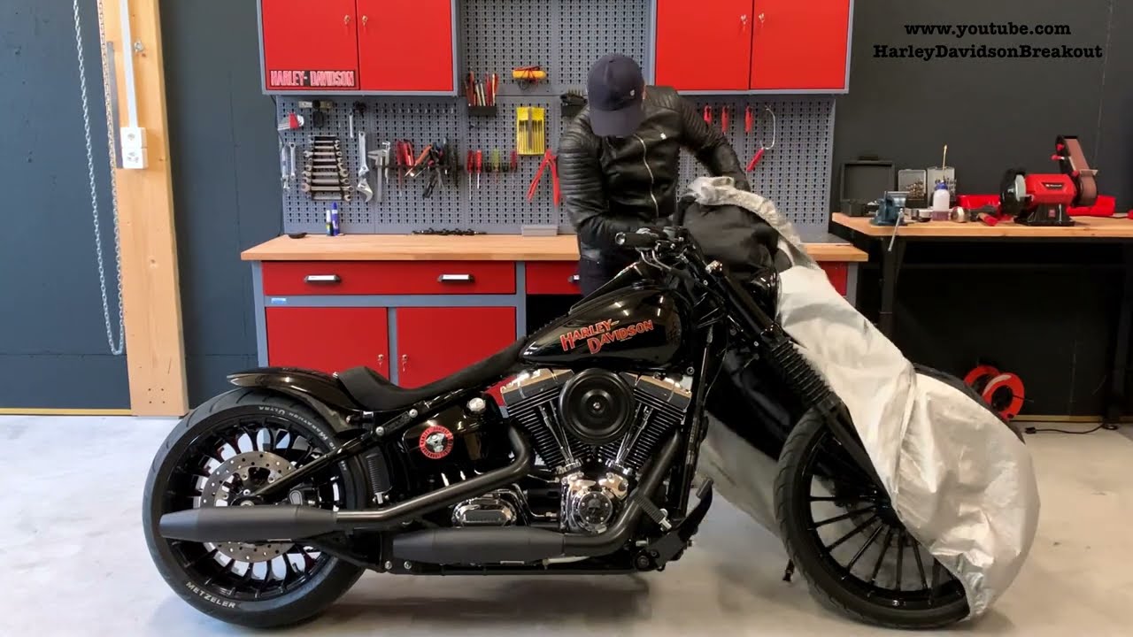 Harley-Davidson First Start After Winter