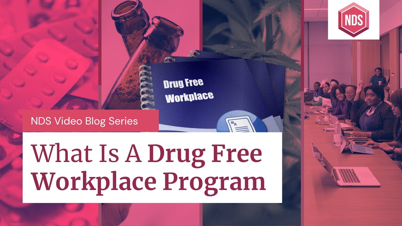What Is A Drug Free Workplace? (Workplace Safety & Compliance)