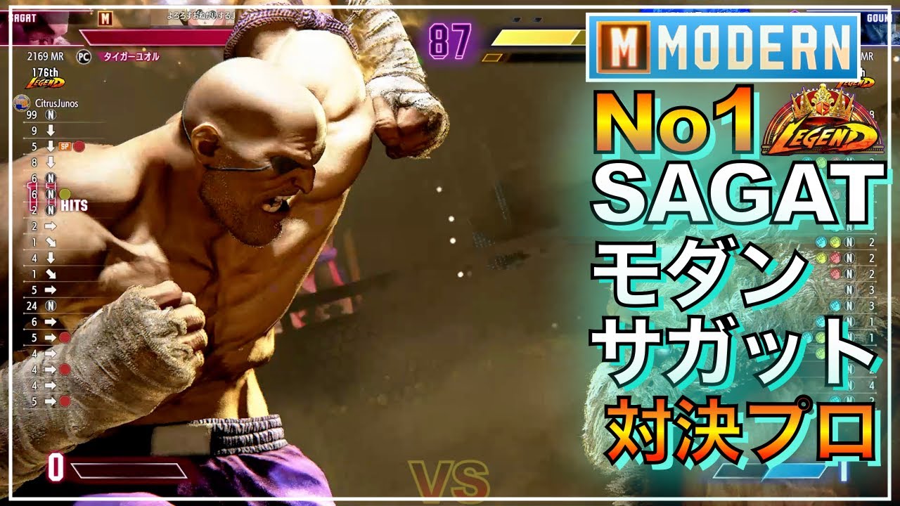 プロ倒 No1 モダン サガット VS ダルシム（YHC-餅）　豪鬼（ジョジョ太郎）　MODERN SAGAT VS DHALSIM　AKUMA　LEGEND　レジェンド　SFL　EVO　EWC