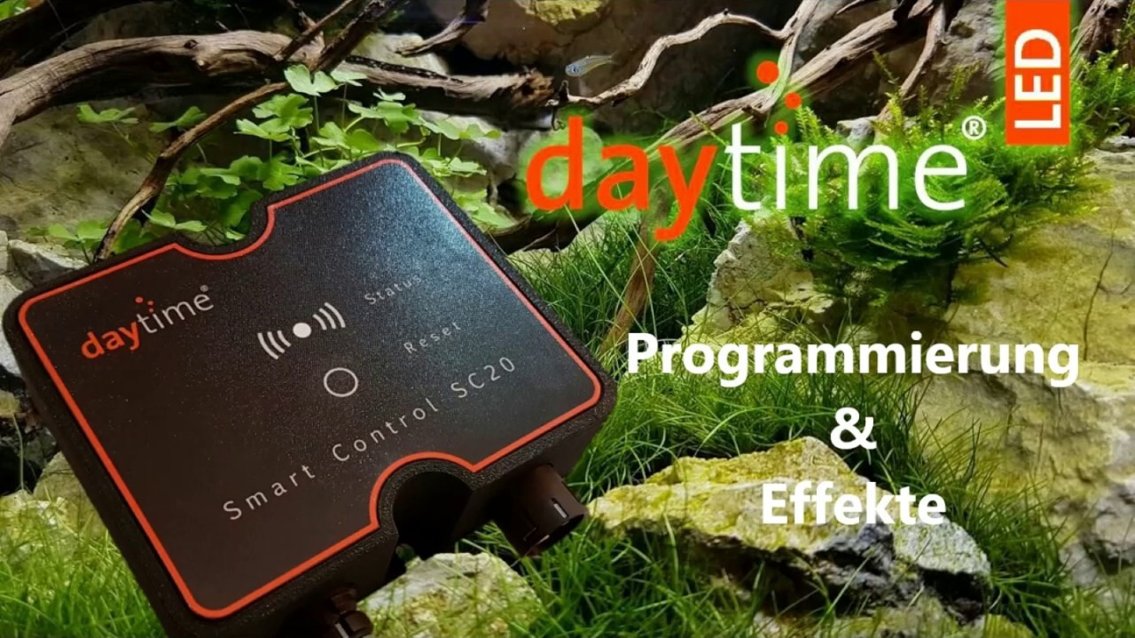 daytime SC20 Programmierung & Effekte