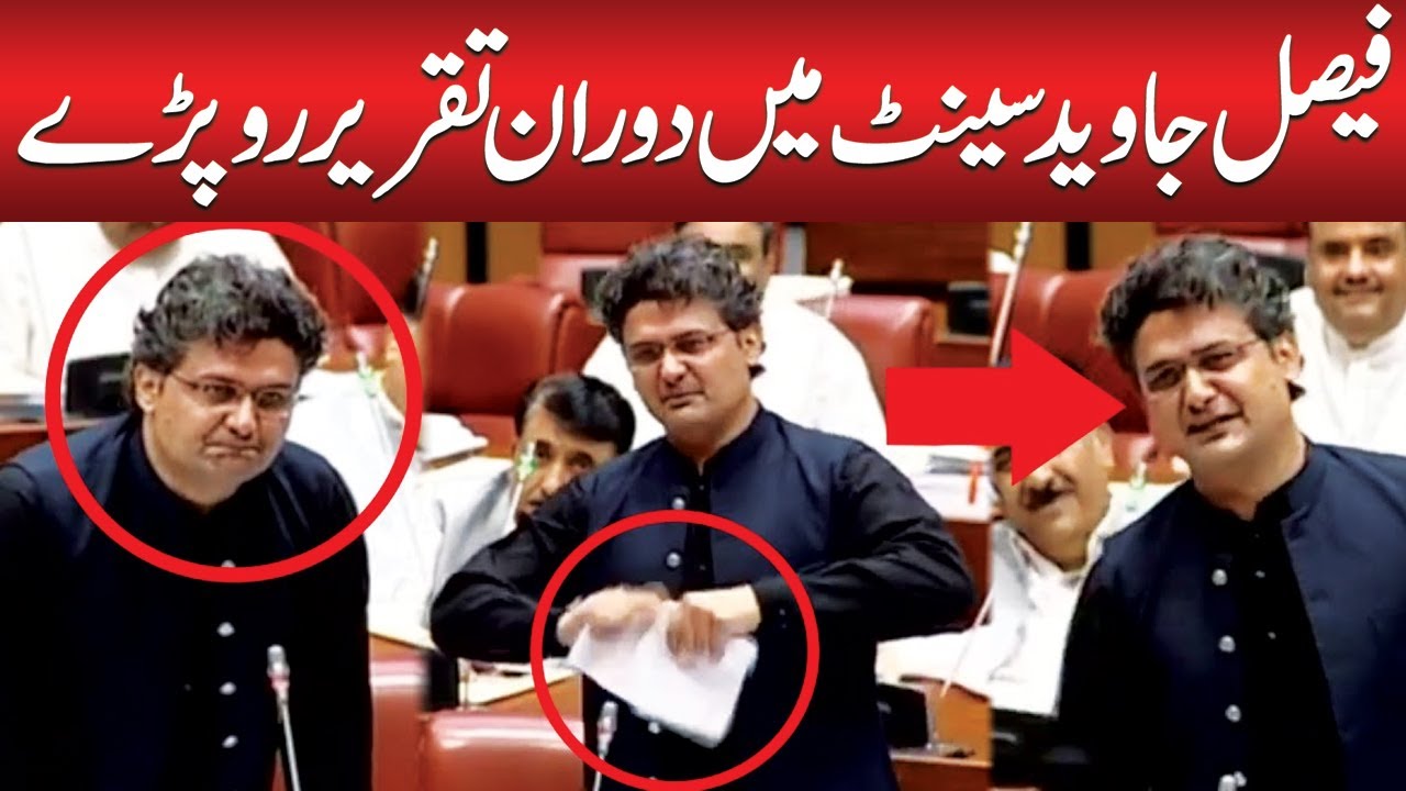 فیصل جاوید سینیٹ میں دوران تقریر روپڑے | Faisal Javed Crying in Senate During Speech | Public News