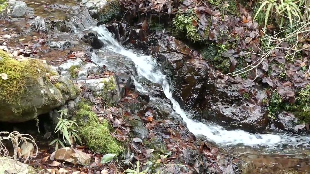 山水byさくら