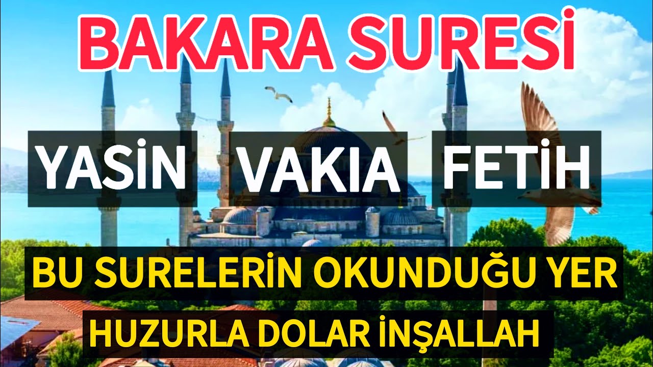 BAKARA SURESİ - YASİN - VAKIA - FETİH SURESİ - Bu Surelerin Okunduğu Yer Huzurla Dolar İnşallah🤲🏻